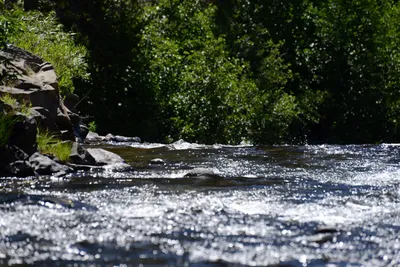 DSC_3636 (Large).JPG